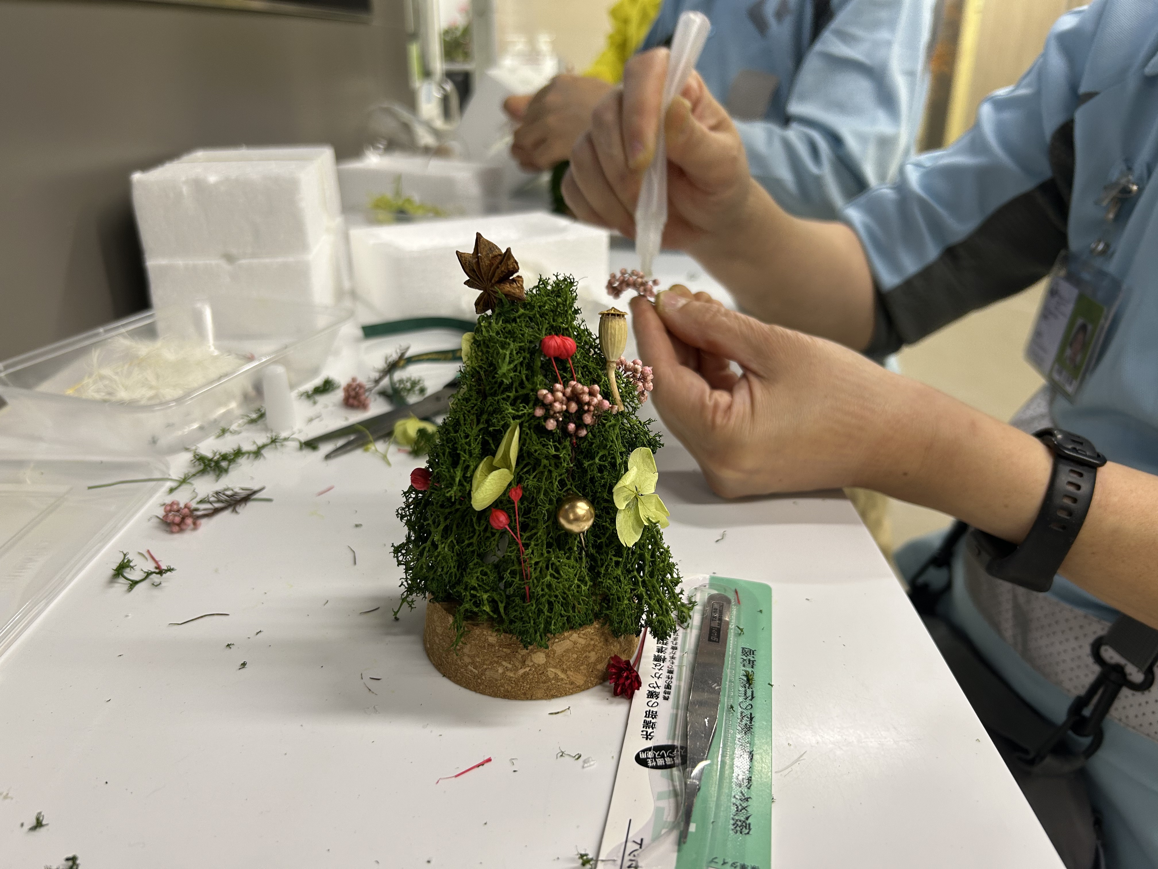 Mini Christmas Tree Making Workshop